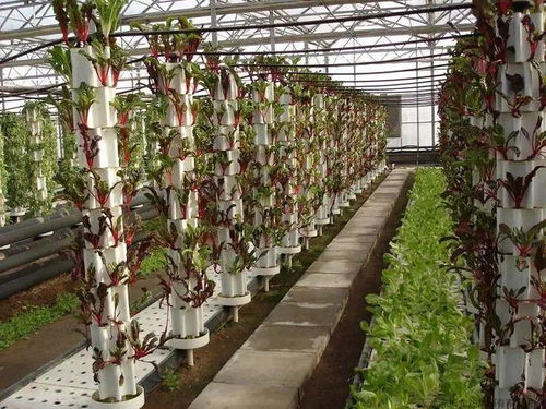 盤點五種農業(yè)新型種植技術
