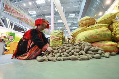 2019柳州農博會 萬種珍品薈萃，盡顯現代農業風采