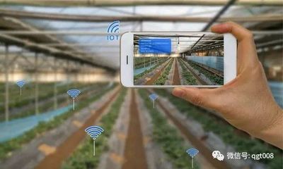 江蘇省數字農業農村工作要點發布，農業培育迎來新機遇